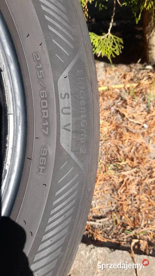 Komplet opon 4 sztuki Goodyear Efficientgrip 2 17cale wielkopolskie Garby