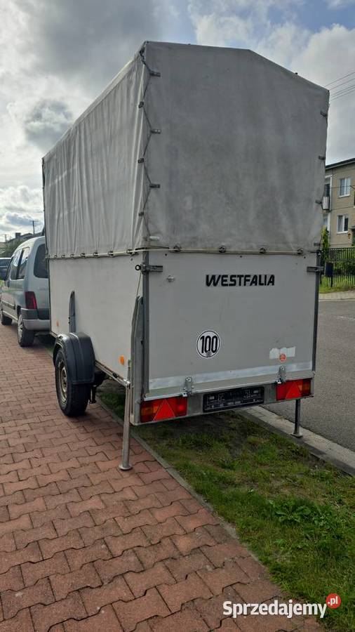 Sprzedam przyczepę do przewozu koni Brudzew