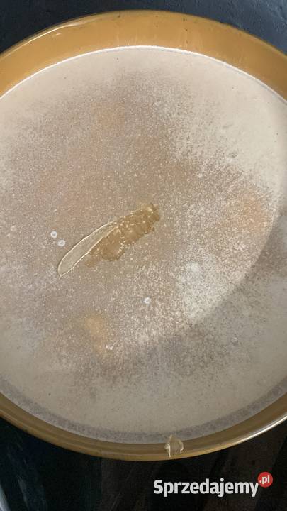 Miód wielokwiatowy opolskie Kędzierzyn-Koźle