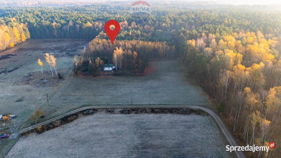 4 hektary wolności pod Warszawą Ostrowik