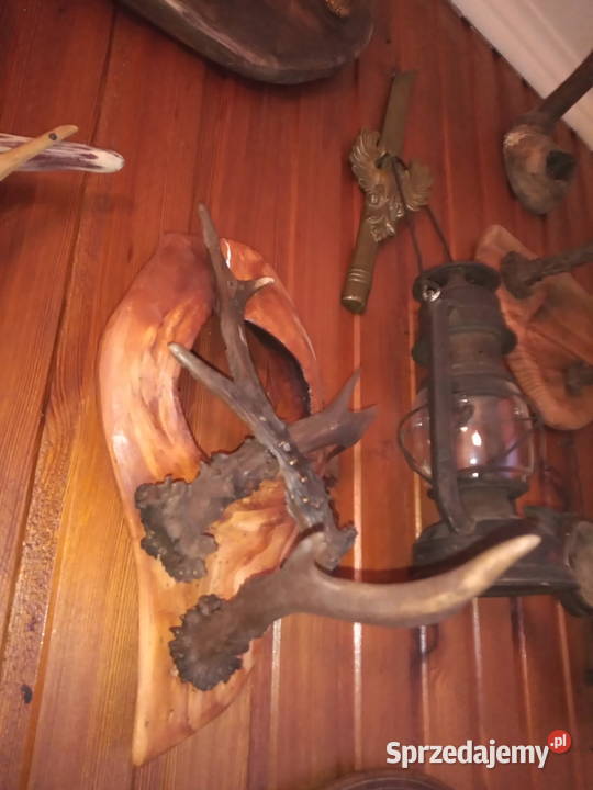 Wieszak z poroża Leżajsk sprzedam