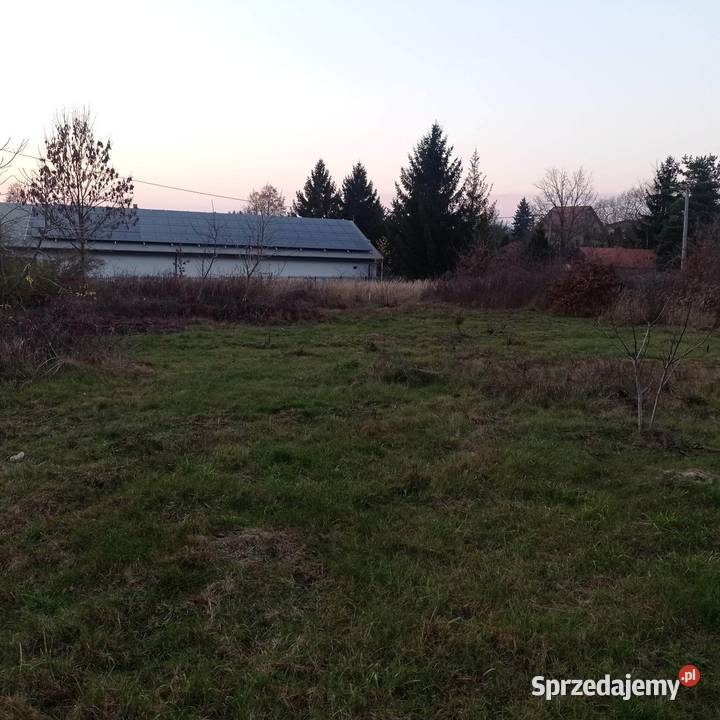 Działka Miedziana Góra 162zł/m2 świętokrzyskie