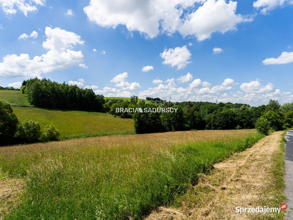Działka 12200m2 Rzepiennik Strzyżewski asfalt