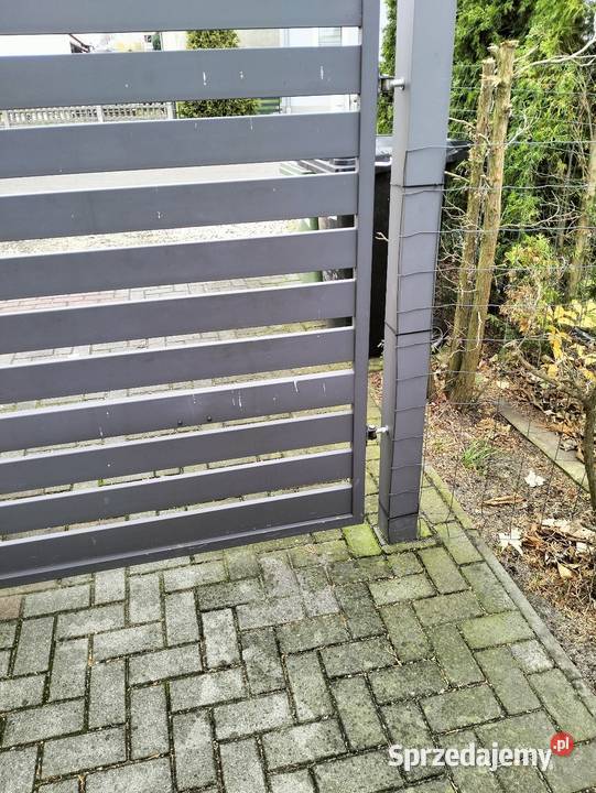 Sprzedam bramę palisadową Żędowice
