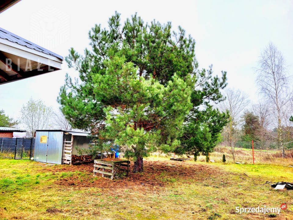 sprzedaży domu wolnostojącego 240m2 Krusze