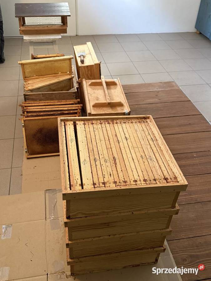 Ule mała pasieka w całości Lębork