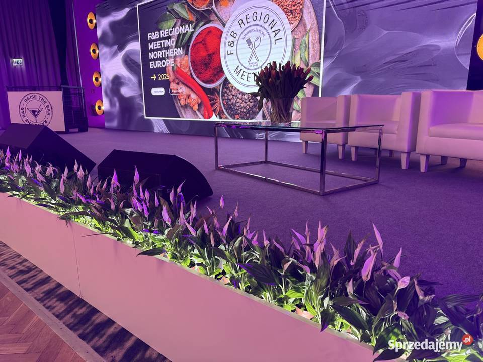 Dioda LED wynajem Ekrany LED Telebim P 28 indoor Poznań