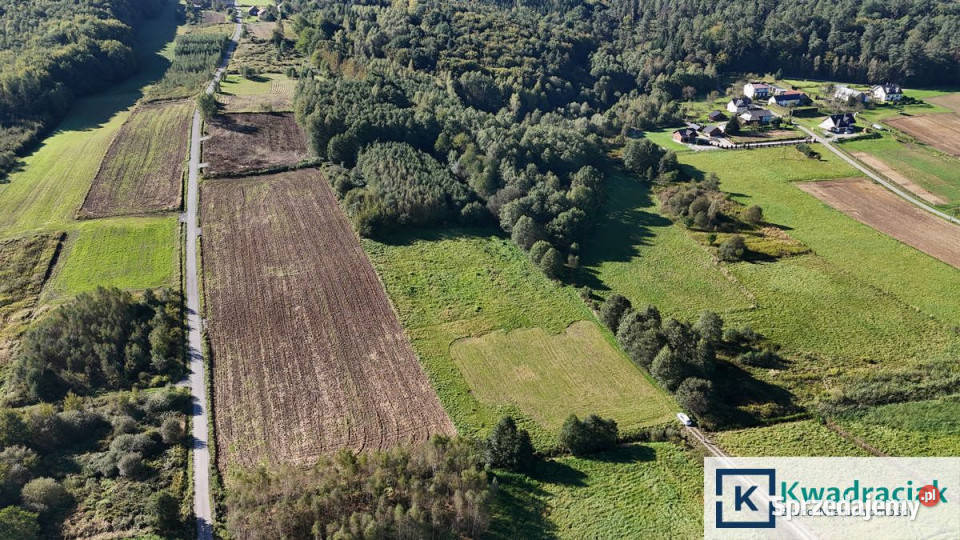 Działka Sieklówka 12304m2 55m podkarpackie