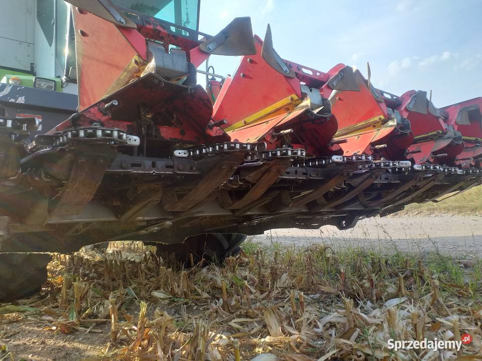 Przystawka do kukurydzy Olimac Drago 2 2012r 5 wielkopolskie Turek