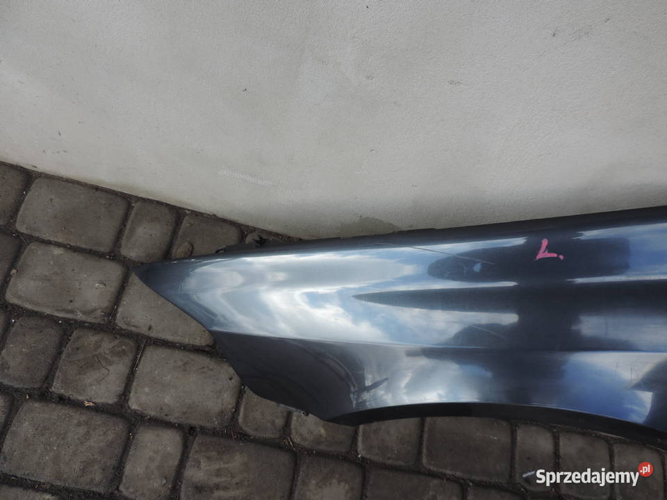 RENO LAGUNA 2 II BŁOTNIK LEWY PRZEDNI TEB66 Błotniki małopolskie Nowy Sącz