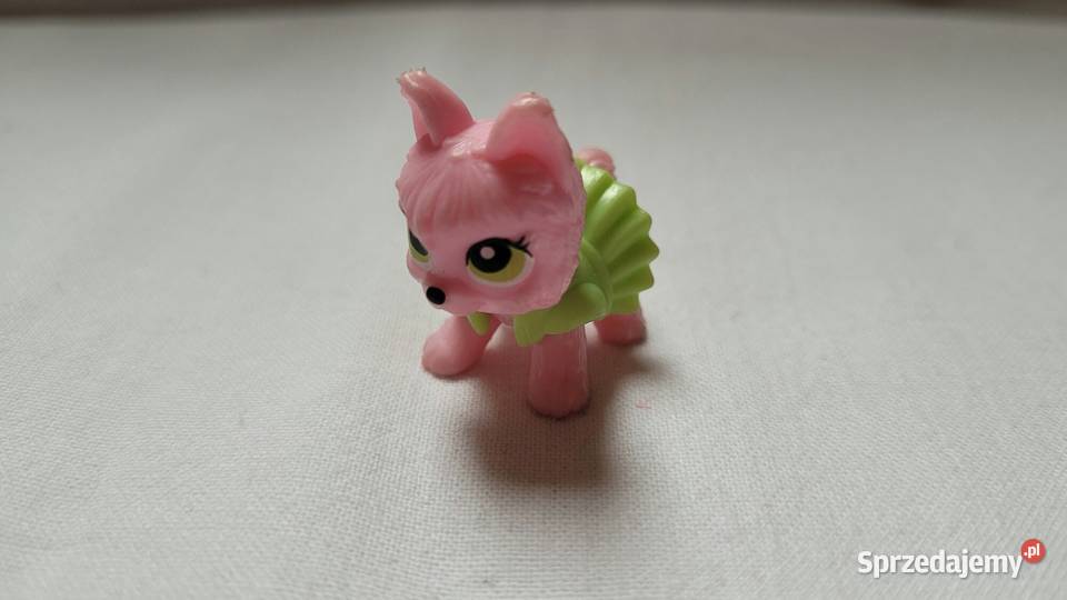 Nietuzinkowe Małe pieski do zabawy śląskie Piekary Śląskie sprzedam