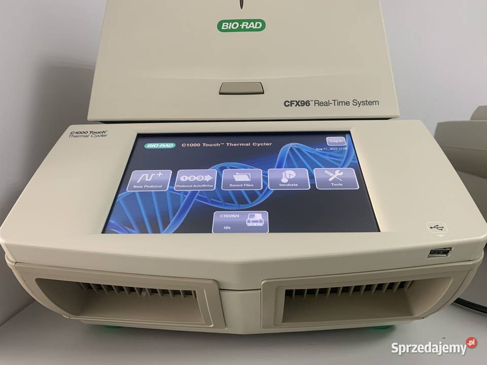 REALTIME PCR SYSTEM Opole