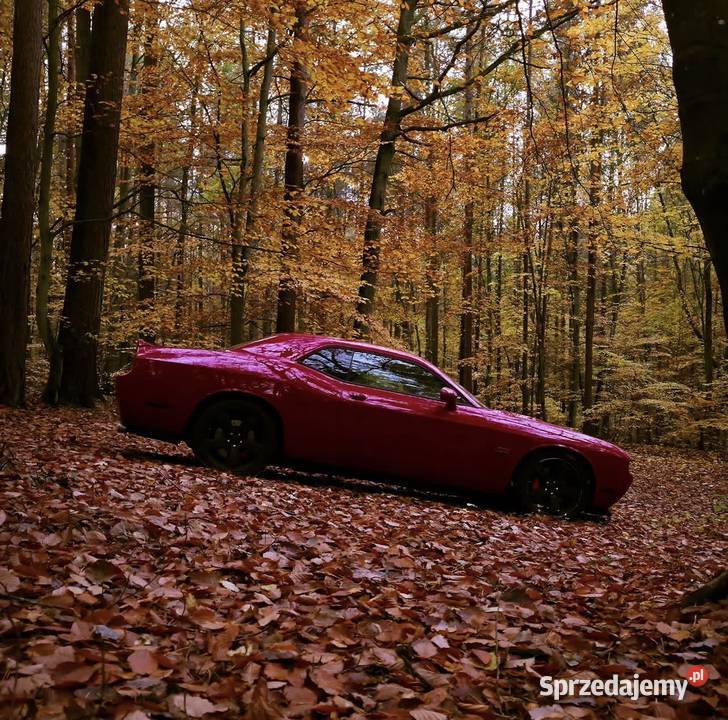 Challenger SRT8 64 V8 468KM Gdynia