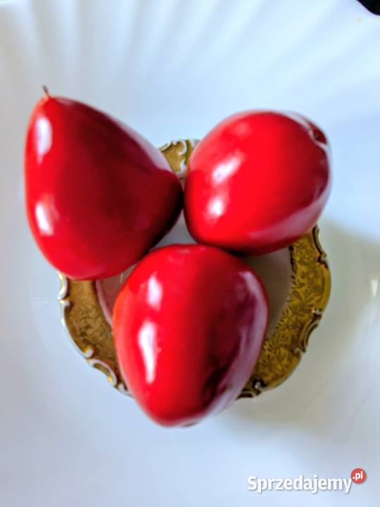 Papryka czereśniowa do faszerowania nasiona 2025 małopolskie Kraków sprzedam