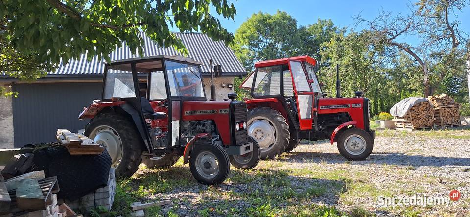 SPRZEDAM MF 255 Miechów