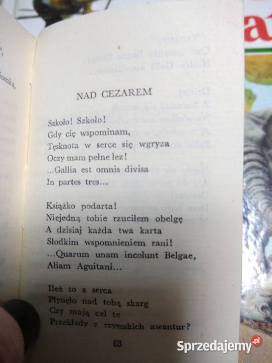 Poeci polscy Tuwim polonistyka outlet książki Warszawa