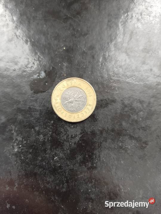 2 2008 skrętka śląskie Jastrzębie-Zdrój