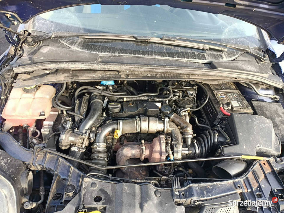 Ford Focus Ford Focus 16TDCI 115 14r Mk3 Tarnów