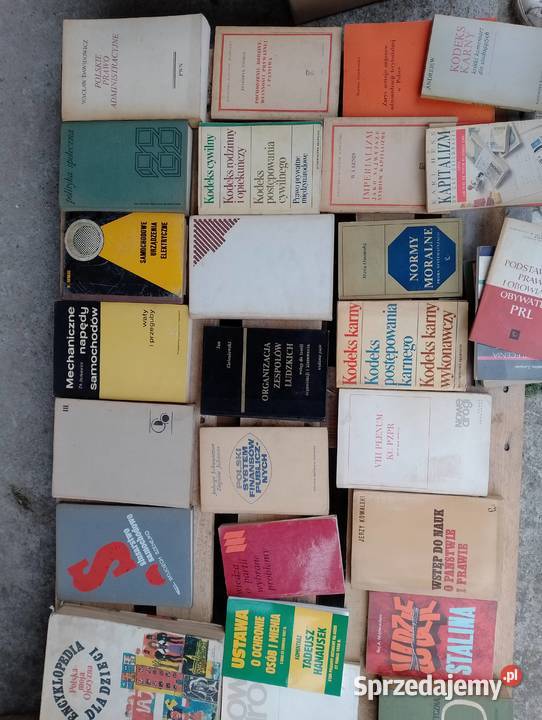 Książki 265 sztuk Różna Tematyka Pozostałe Wielgłowy