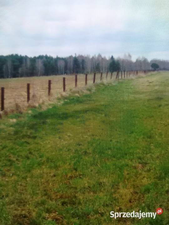 sprzedam słupki ogrodzeniowe z rury fi100 mm do Mońki