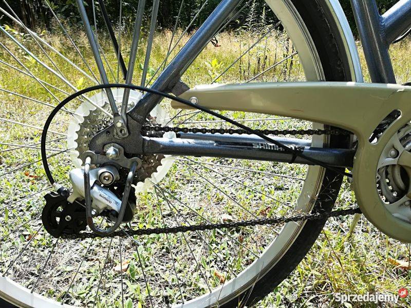 Rower trekkingowy ALU REX Silverstreet aluminium Łódź