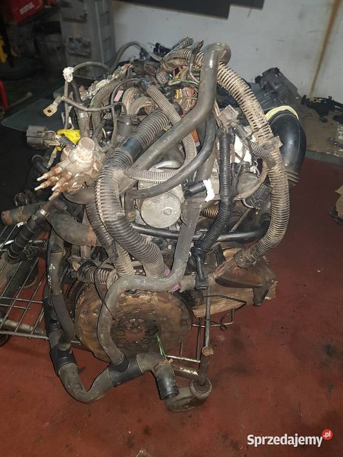 Silnik 19 dci trafic vivaro megane primastar