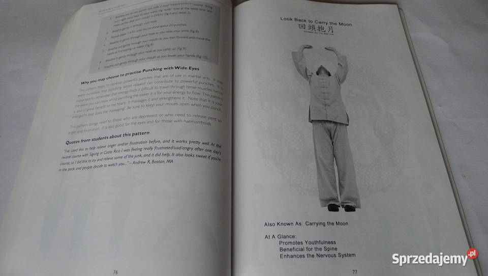 SANTER Shaolin Chi Kung 18 Exercises RARE Luohan Radom sprzedam
