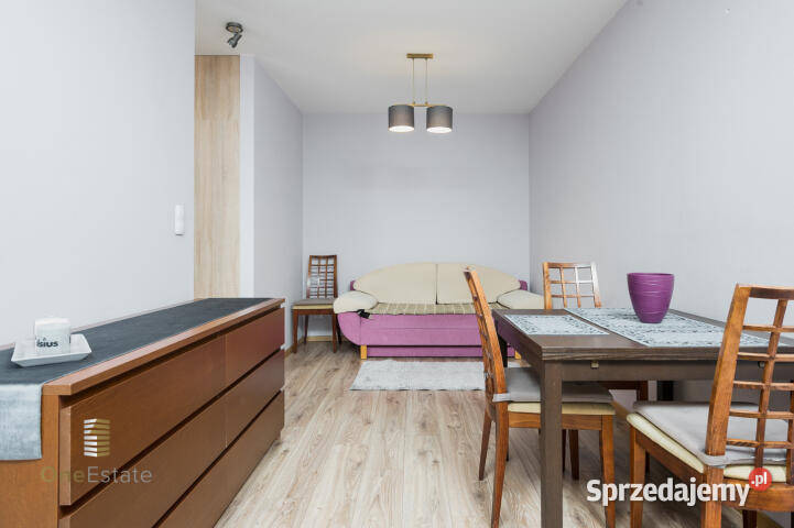 sprzedaży mieszkania 4078m2 2pokojowe Kraków internet