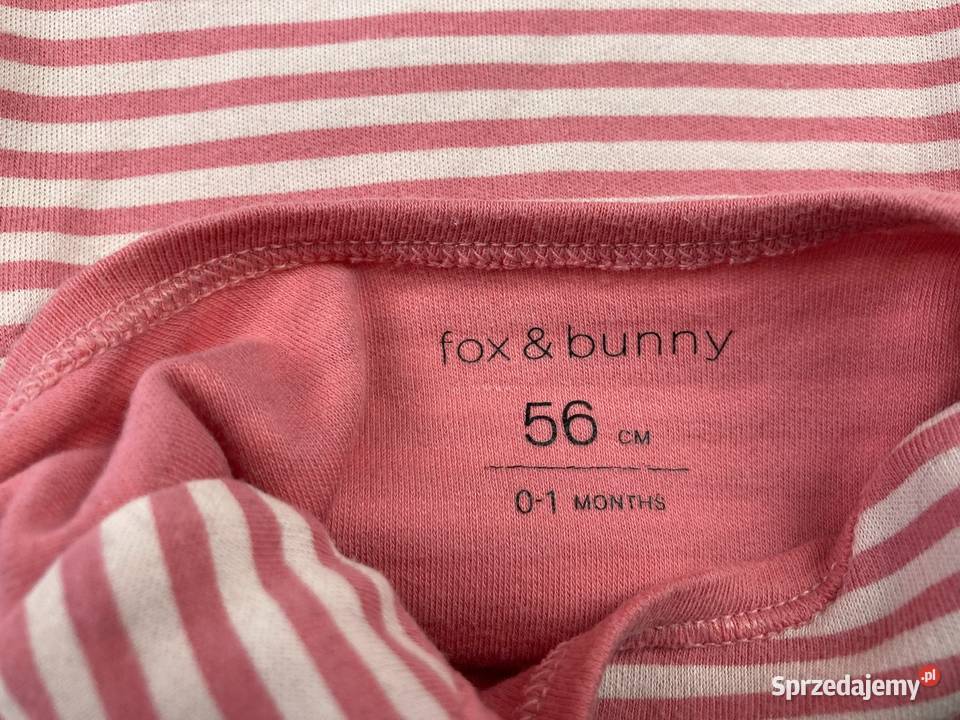 Body 56 Sinsay fox bunny Rozmiar 56 Warszawa sprzedam