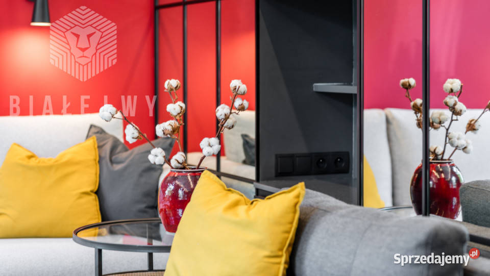 Mieszkanie Sopot Aleja Niepodległości 271m2 1 23948zł/m2 Sprzedaż