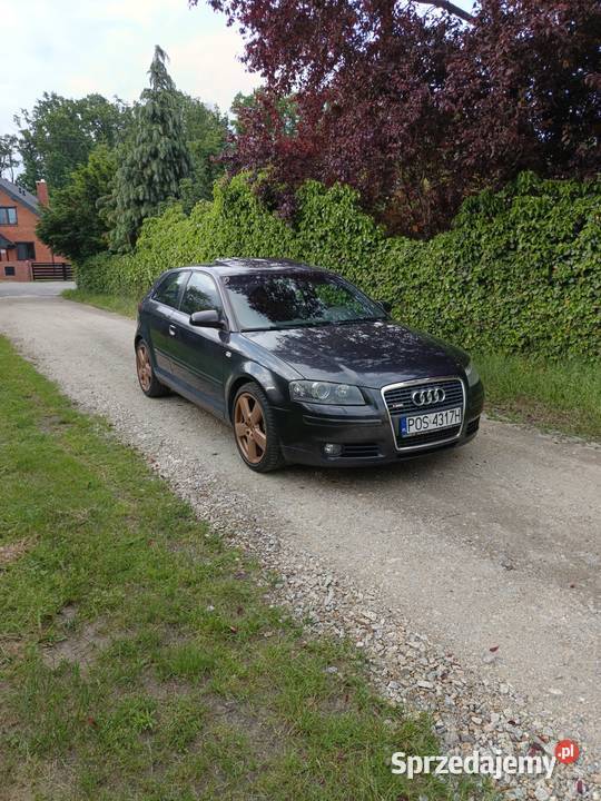 Audi a3 8p 20TDI 170 DSG Sline full Ostrów Wielkopolski