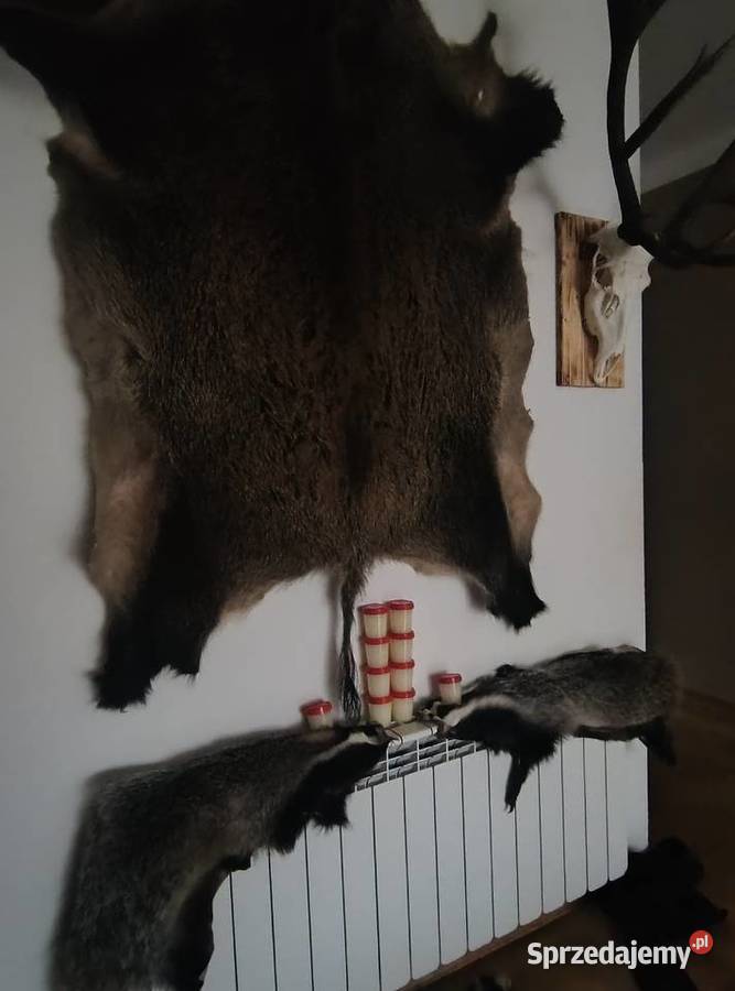 smalecsadło z borsuka Mielec