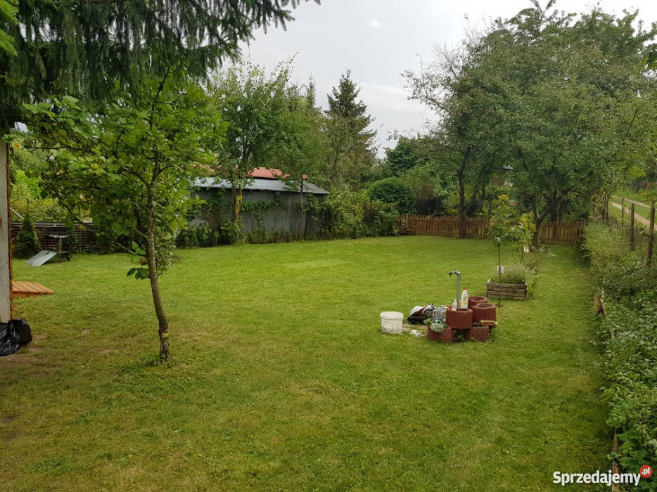 Ogródek działkowy Zarzecze w Mykach Olsztyn