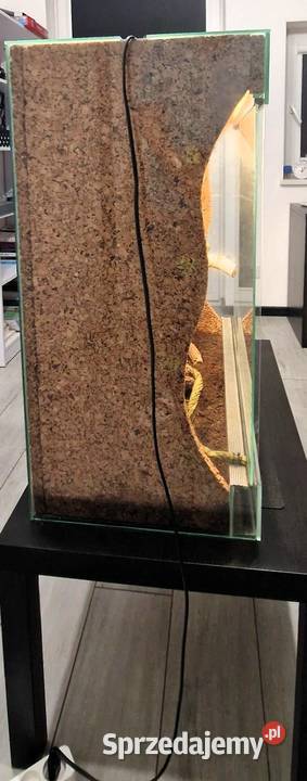 Sprzedam Terrarium szklane 80 396 85 2 lampy UVB Gdańsk