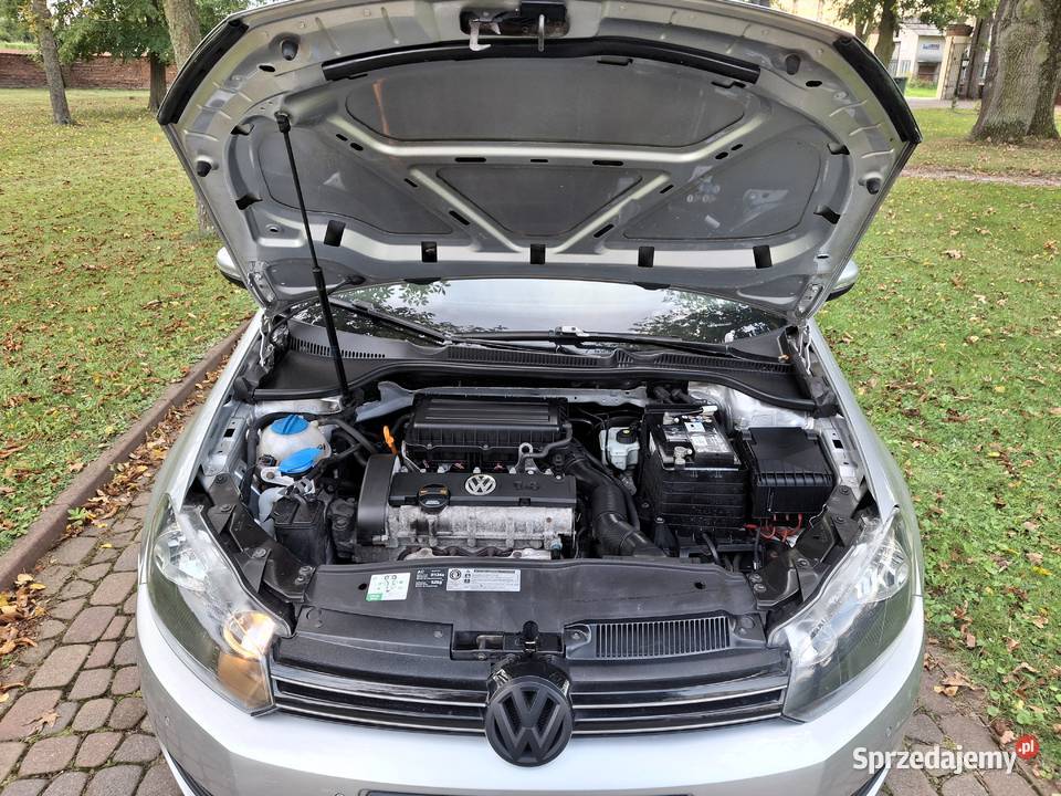Volkswagen Golf 14 Trendline nieuszkodzony