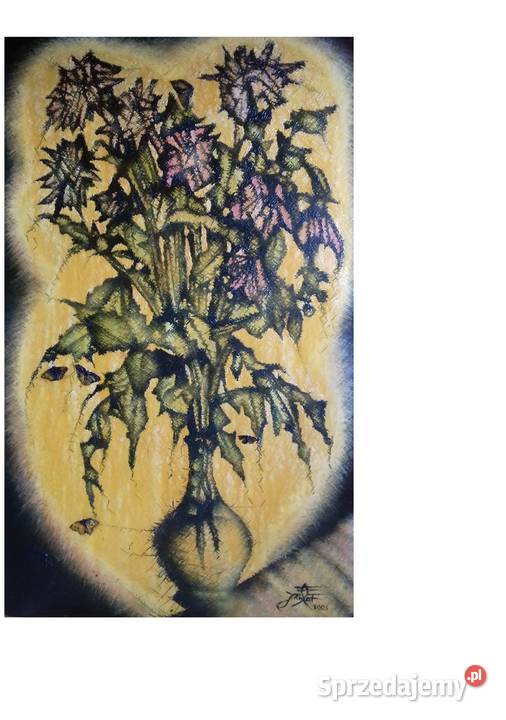 Nocne Georginie Z Białymi Motylami Jarosław