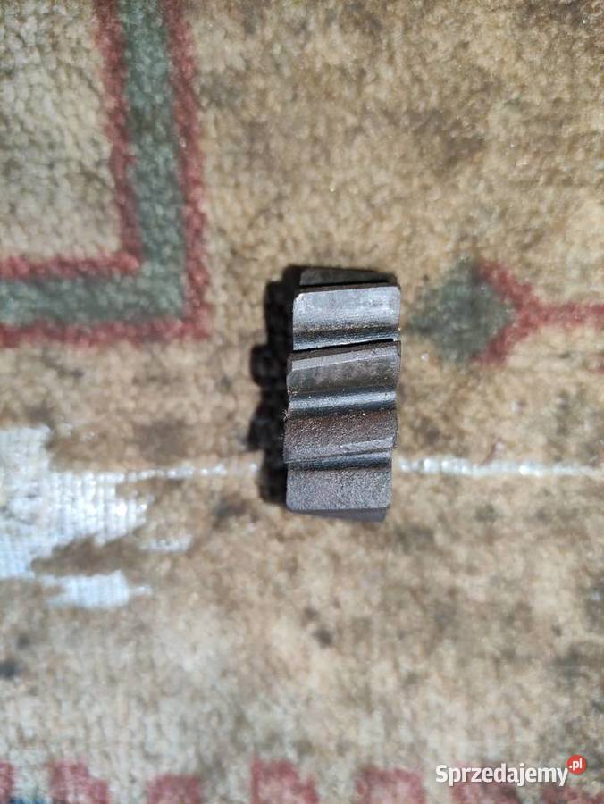 Zębatka mała ORYGINAŁ Pozostałe dolnośląskie Przeworno sprzedam