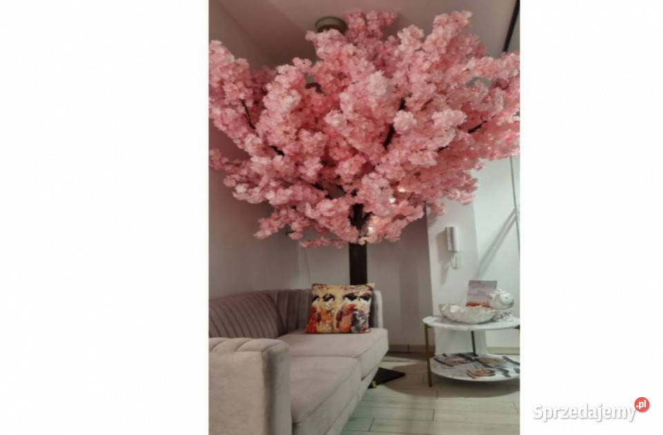 Do wynajęcia gabinet kosmetyczny YASUMI ARENA Wynajem Kraków