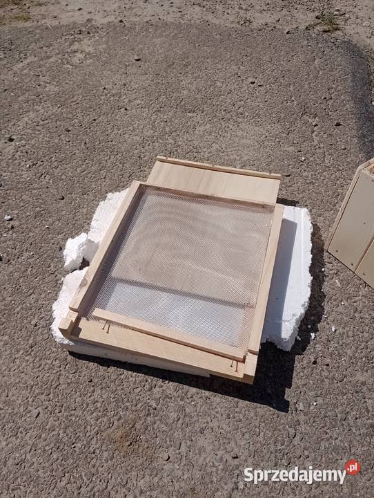 Ule wielkopolskie korpusowe podkarpackie Sieniawa