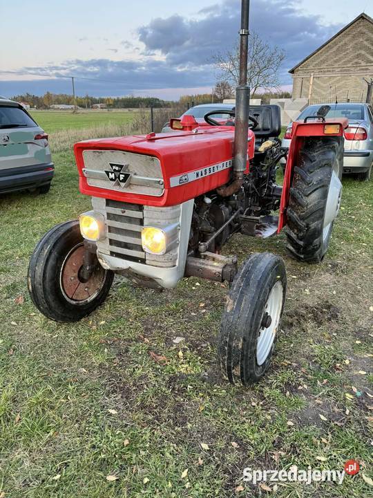 Massey Ferguson 133 ZAREJESTROWANY