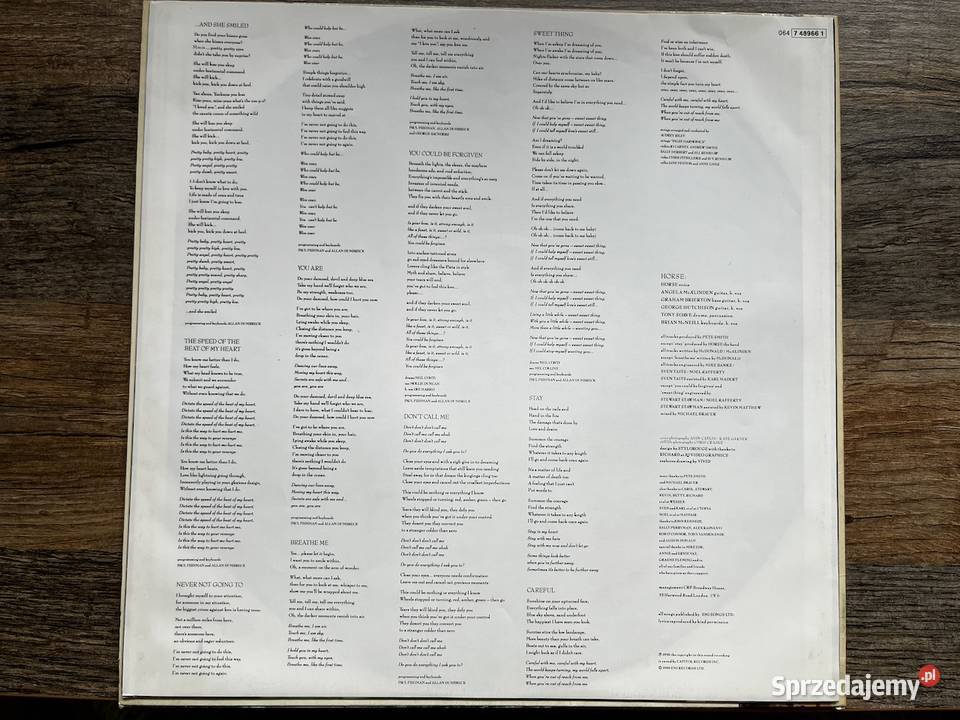 Horse The Same Sky LP 1990 Pop Rock Błażejowice