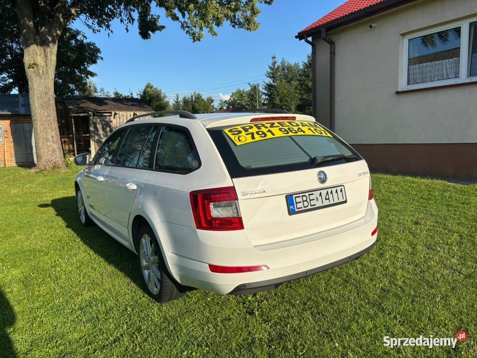 Octavia salon Polska Kombi Kleszczów