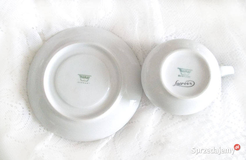 filiżanka z żółwiem żółw filiżanka zwierzęta Szczecin