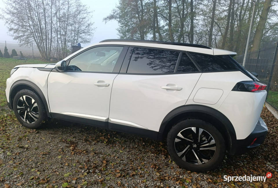 Peugeot 2008 line automat II 2019 światła do jazdy dziennej Pleszew