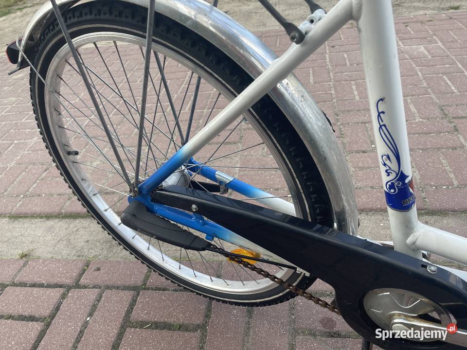 Rower damka Diplomat koło 26 Siedlce