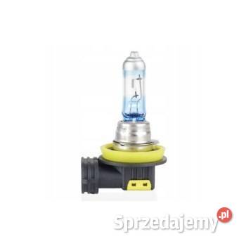 Żarówka halogenowa H11 12V 55W LumiTec LIMITED Żarówki samochodowe Poznań sprzedam