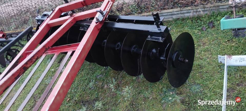 Talerzwka lubelskie sprzedam