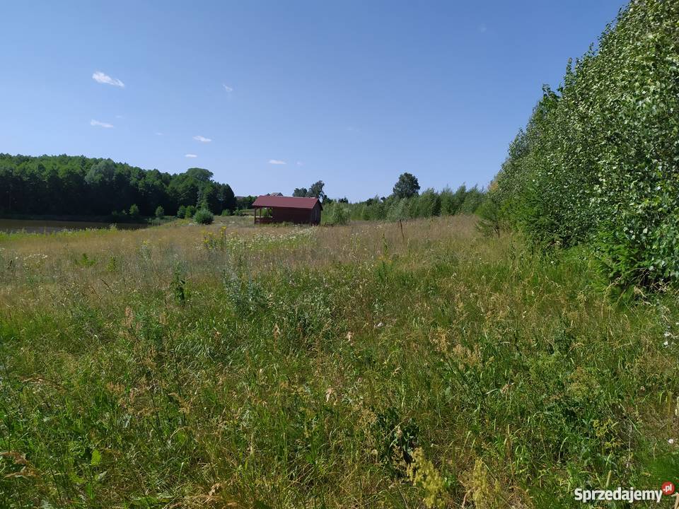 Duża działka ze stawem w okolicach Mławy mały Mława