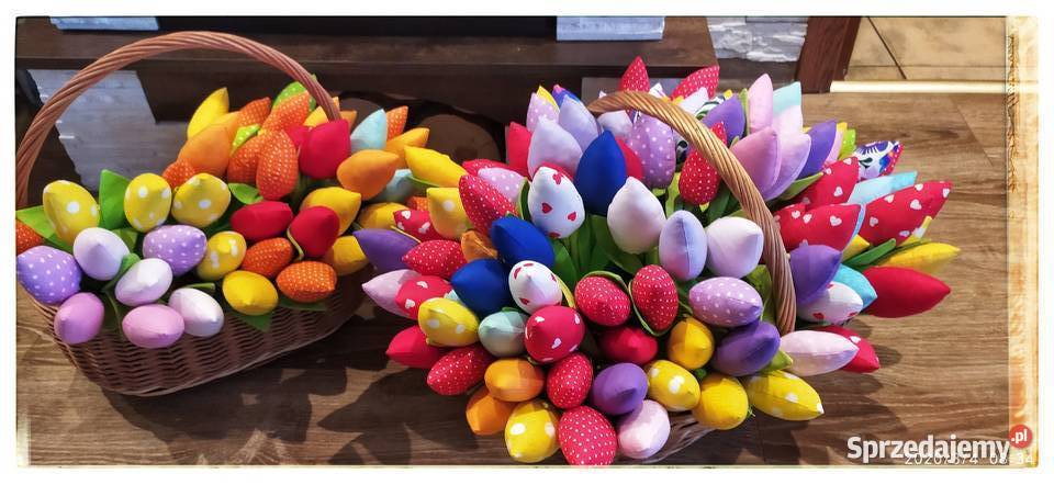 Tulipany wielokolorowy Dom i Ogród Sędziszów Małopolski