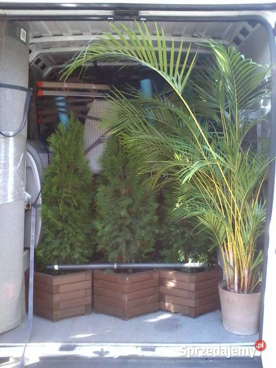 Przeprowadzki Zielonka Transport lokalny krajowy